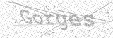 Security Picture (click to change)