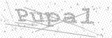 Security Picture (click to change)