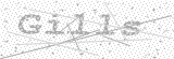 Security Picture (click to change)