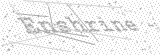 Security Picture (click to change)