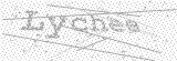 Security Picture (click to change)