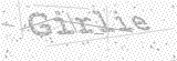Security Picture (click to change)
