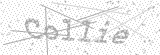 Security Picture (click to change)