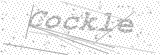 Security Picture (click to change)