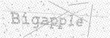 Security Picture (click to change)
