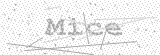 Security Picture (click to change)