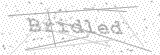Security Picture (click to change)