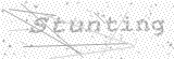 Security Picture (click to change)