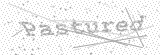 Security Picture (click to change)