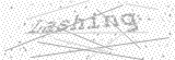 Security Picture (click to change)