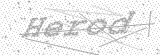 Security Picture (click to change)