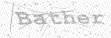 Security Picture (click to change)