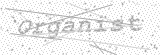 Security Picture (click to change)