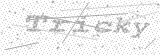 Security Picture (click to change)