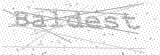 Security Picture (click to change)