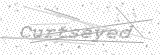 Security Picture (click to change)