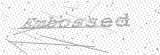 Security Picture (click to change)