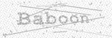 Security Picture (click to change)