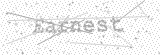 Security Picture (click to change)