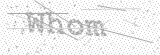 Security Picture (click to change)