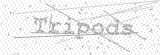 Security Picture (click to change)