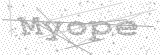 Security Picture (click to change)