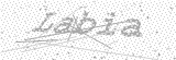 Security Picture (click to change)