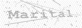 Security Picture (click to change)