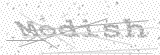 Security Picture (click to change)