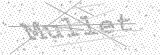 Security Picture (click to change)
