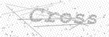 Security Picture (click to change)