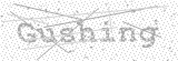 Security Picture (click to change)