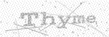 Security Picture (click to change)