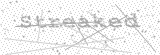 Security Picture (click to change)