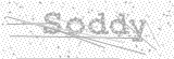 Security Picture (click to change)