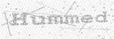 Security Picture (click to change)