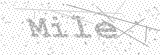 Security Picture (click to change)