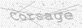 Security Picture (click to change)