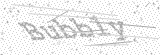 Security Picture (click to change)