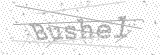 Security Picture (click to change)