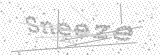 Security Picture (click to change)