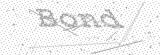 Security Picture (click to change)