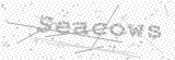 Security Picture (click to change)