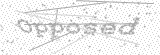 Security Picture (click to change)
