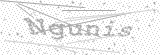 Security Picture (click to change)