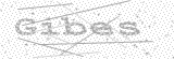 Security Picture (click to change)