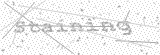 Security Picture (click to change)