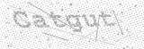 Security Picture (click to change)