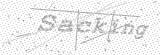 Security Picture (click to change)