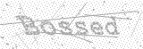 Security Picture (click to change)